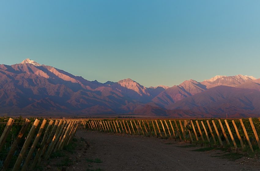  Andes Wines apuesta que Inversionistas Vitivinícolas Argentinos se expandan a Chile