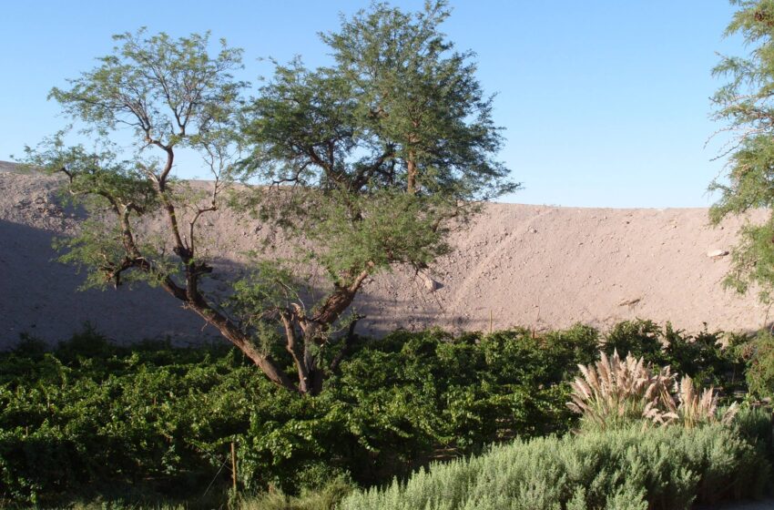  Andes Wines‪ exportara metodología de proyectos RSE e Innovacion Social para rubros de mineria, energia y forestales