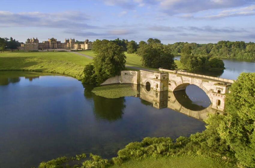  Oportunidad de un Viñedo en el Blenheim Palace en Inglaterra