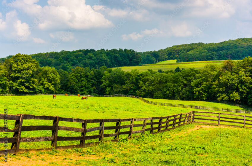  Gorgeous Farm With Two Bed & Breakfast Farmhouses (Shenandoah Valley, VA)