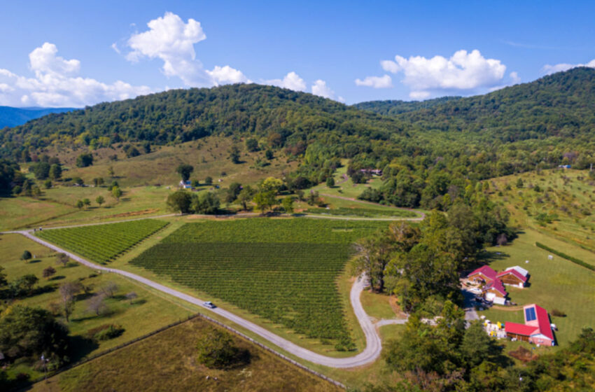  DuCard Vineyards is a psychological and wine-ological getaway from the outside world