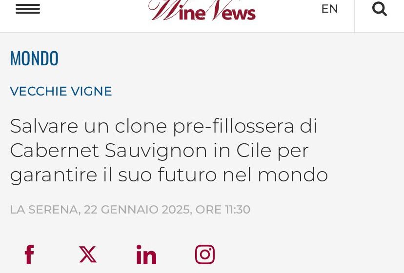  WineNews.it: Salvar un clon prefiloxérico de Cabernet Sauvignon en Chile para asegurar el futuro en el mundo